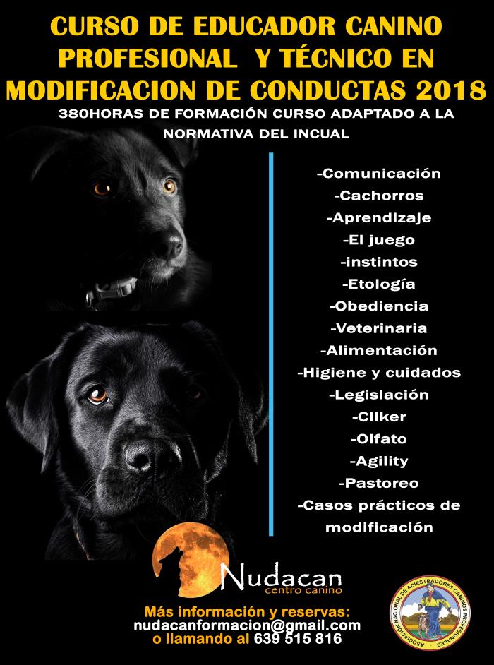 curso adiestrador canino profesional técnico modificación