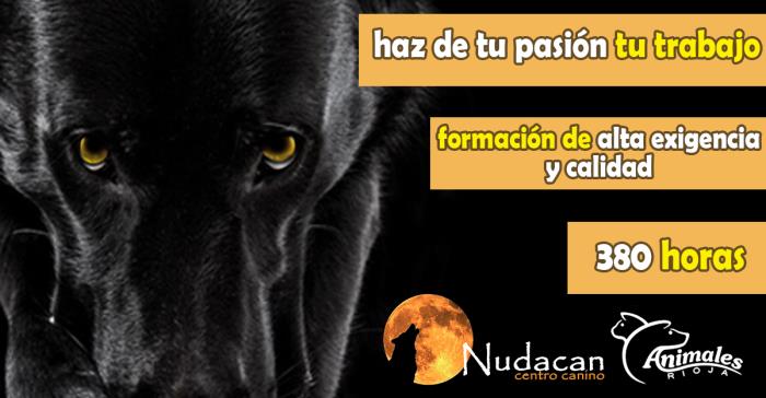 curso adiestrador canino profesional técnico modificación