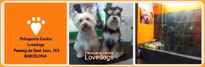 peluquería canina