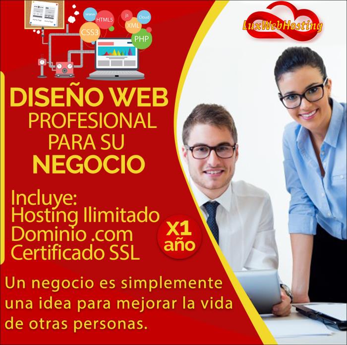 diseño web profesional y diseño de tienda web a la medida