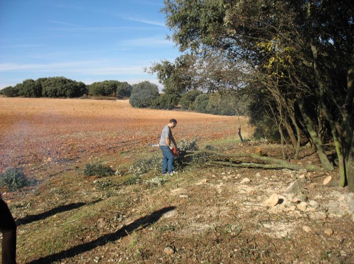 palancares paraje ideal alcarria dos rusticas adyacentes cer