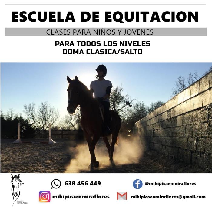 clases de equitacion