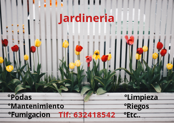 servicio de jardineria