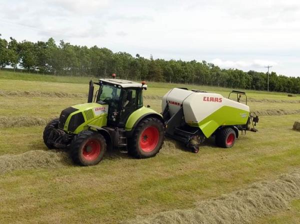 CLAAS Axion 810