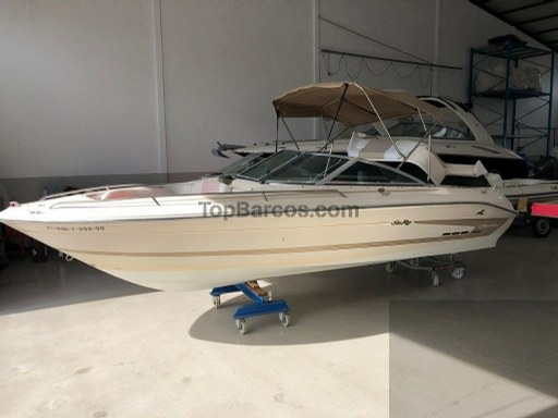 Sea Ray 200 BR