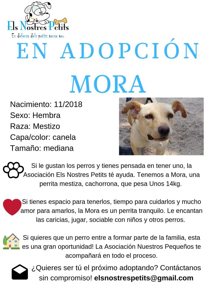 adopción para mora