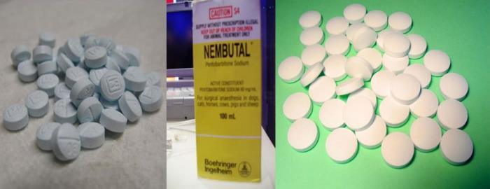 nembutal pentobarbital sodio y otros medicamentos.