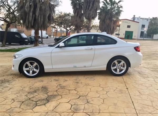 Bmw serie 2 2 puertas Diesel del año 2014